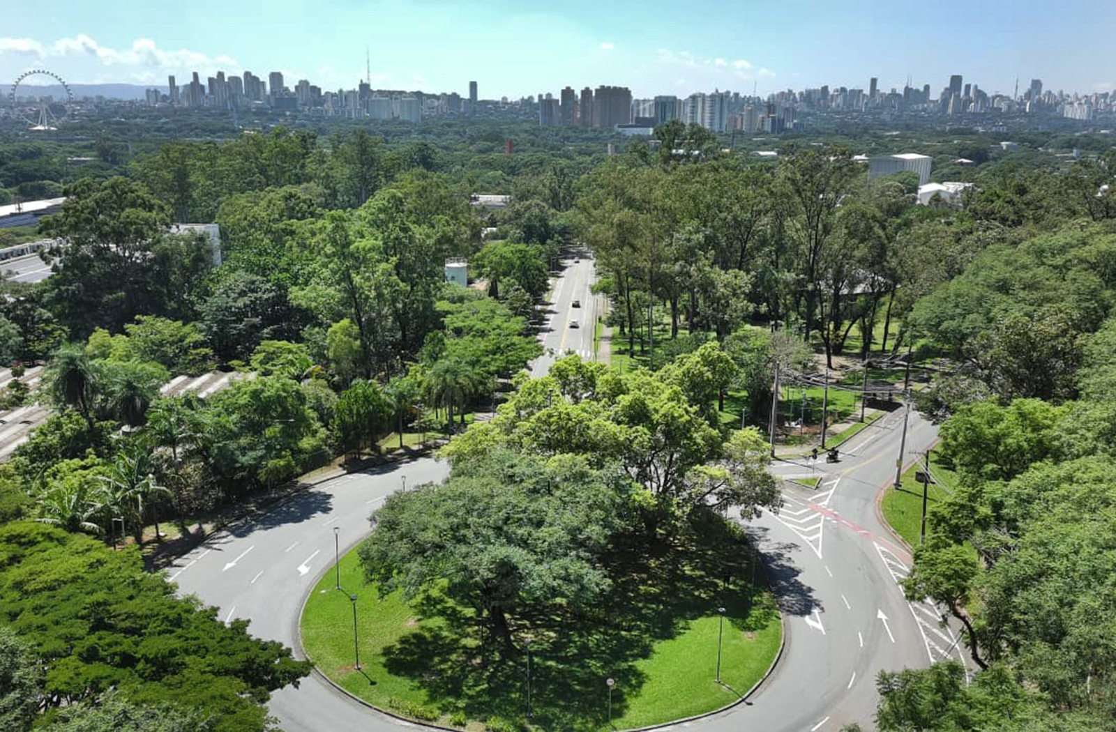 Prefeitura se aproxima de meio milhão de árvores plantadas desde 2021 e reforça estratégia contra ilhas de calor