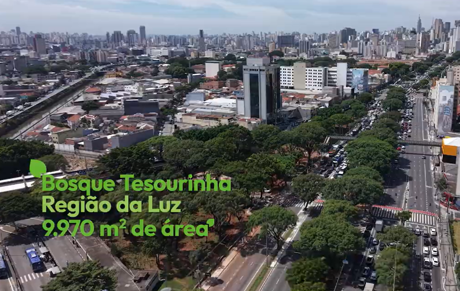 Bosque Tesourinha