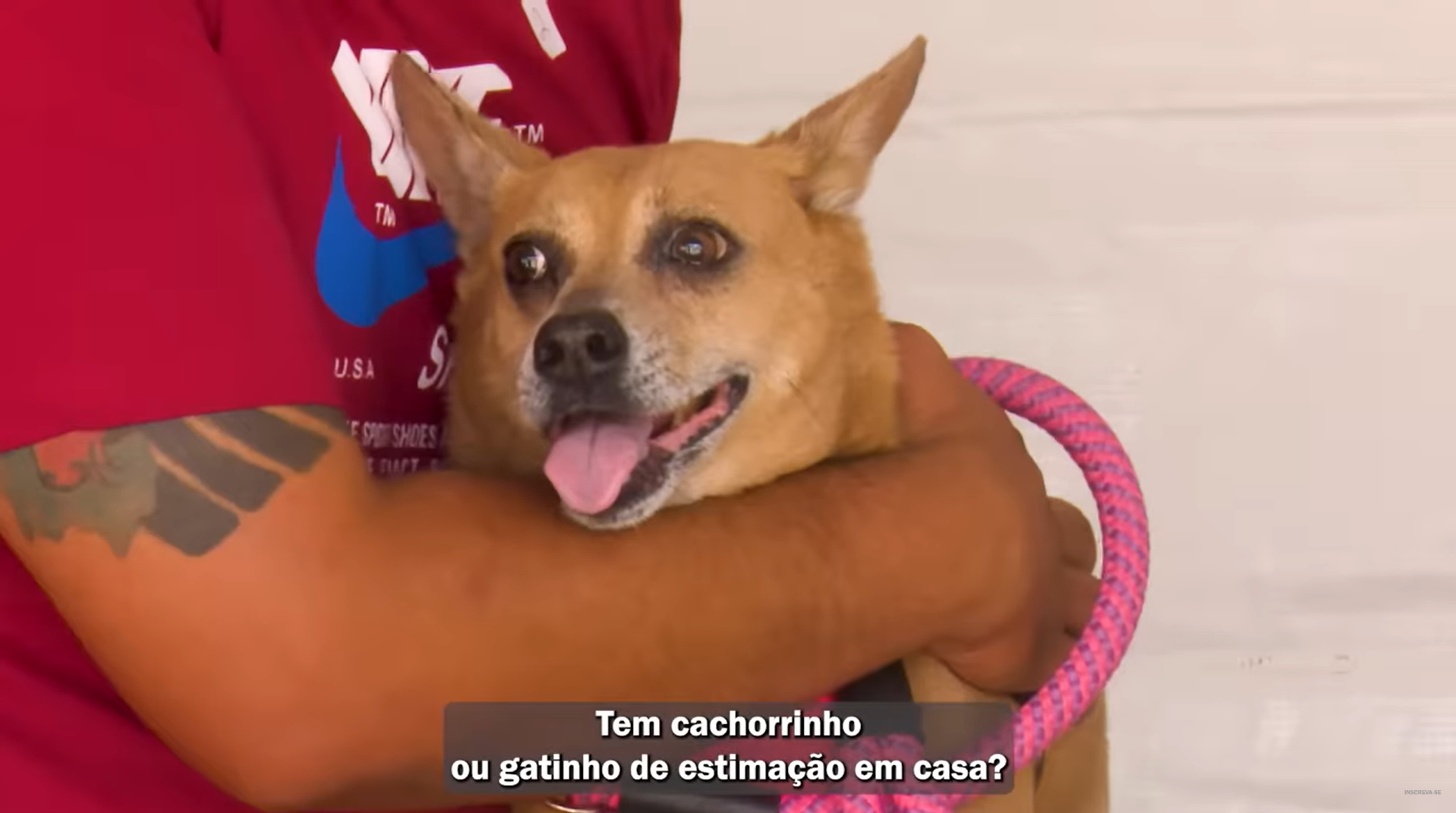 Hospital Veterinário Municipal Cão Caramelo