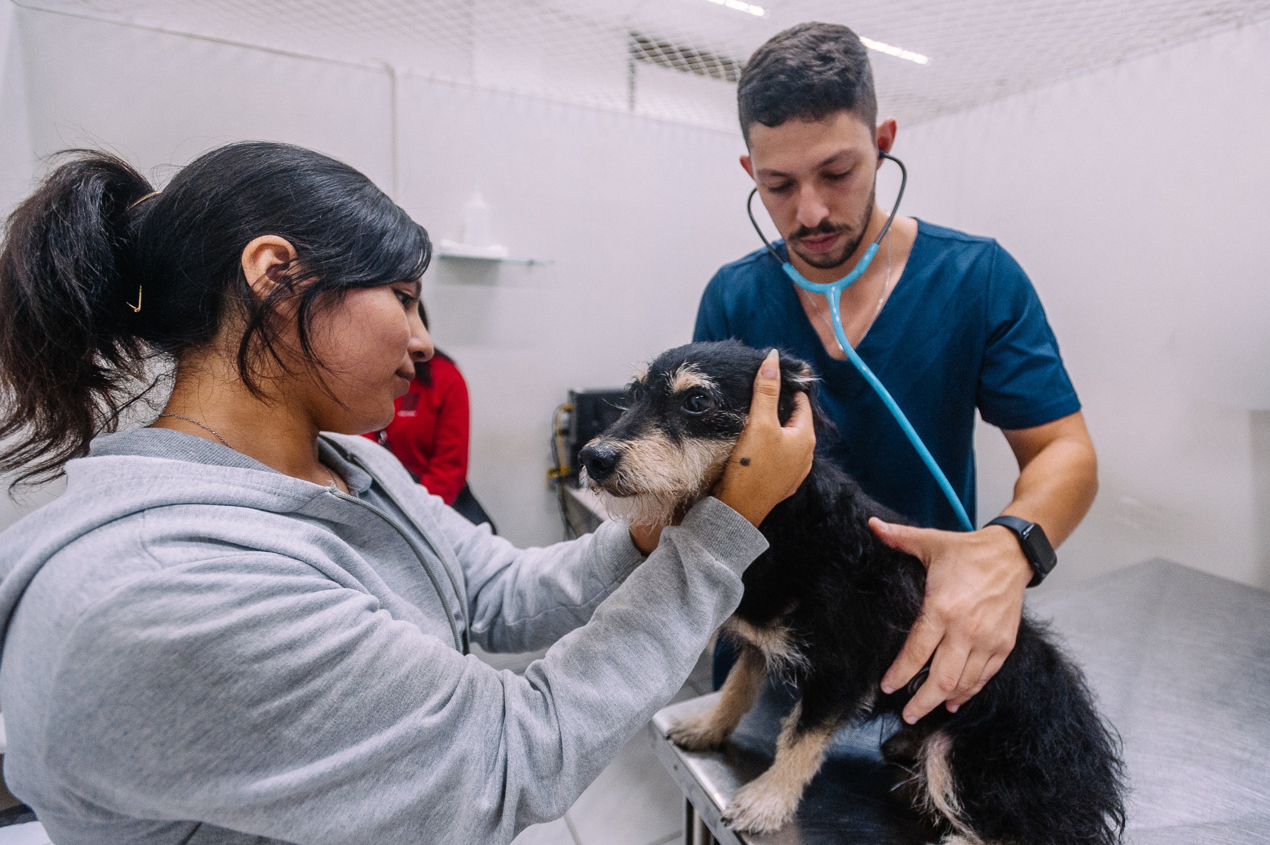 Vista aérea de área urbana com edifícios e vias