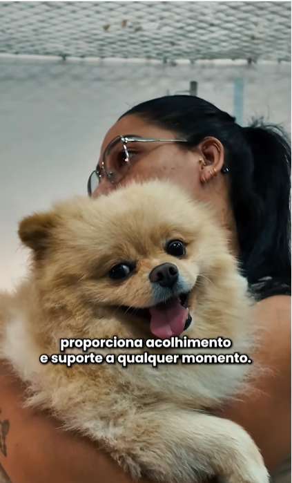 Hospital Veterinário Municipal Leste “Cão Orelha” agora funciona 24h