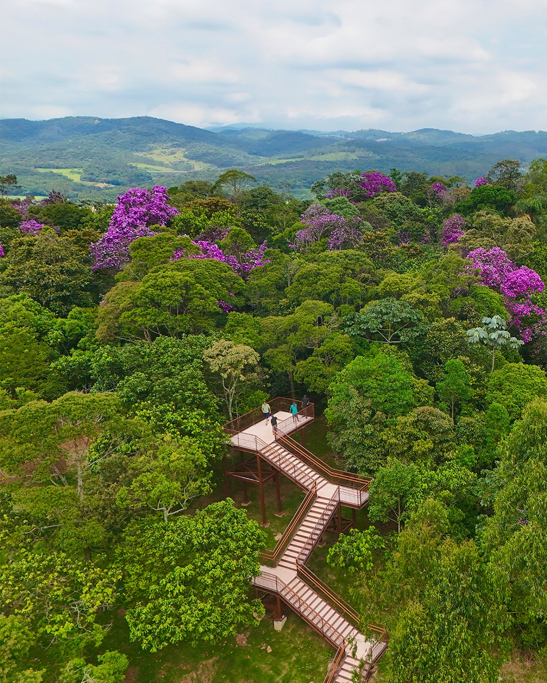 Parque Natural Municipal Cabeceiras do Aricanduva
