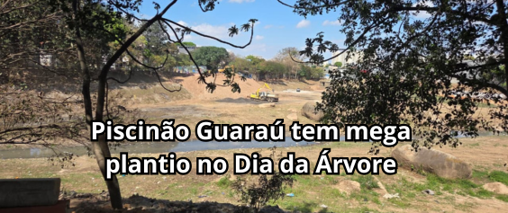 A imagem mostra uma área ampla de terreno, em obras ou preparada para intervenção, com algumas máquinas ao fundo. Em primeiro plano, há árvores cujos galhos emolduram a cena. O céu está claro e azul. Sobre a foto, aparece um texto em letras grandes e brancas: “Piscinão Guaraú tem mega plantio no Dia da Árvore”