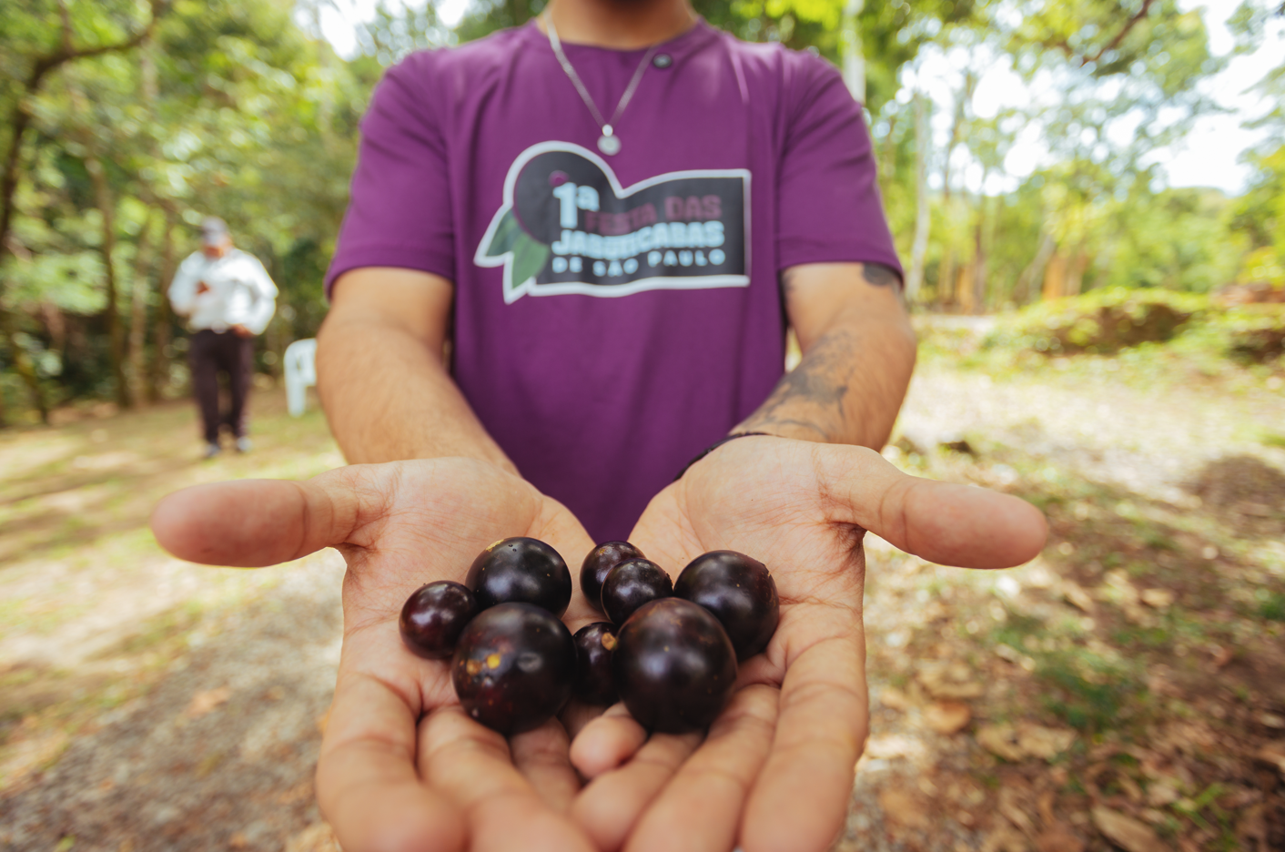 Pessoa segura várias jabuticabas nas mãos abertas, em uma área arborizada. Ela veste uma camiseta roxa com a inscrição “1ª Festa das Jabuticabas de São Paulo”. Ao fundo, há árvores, vegetação e outra pessoa.