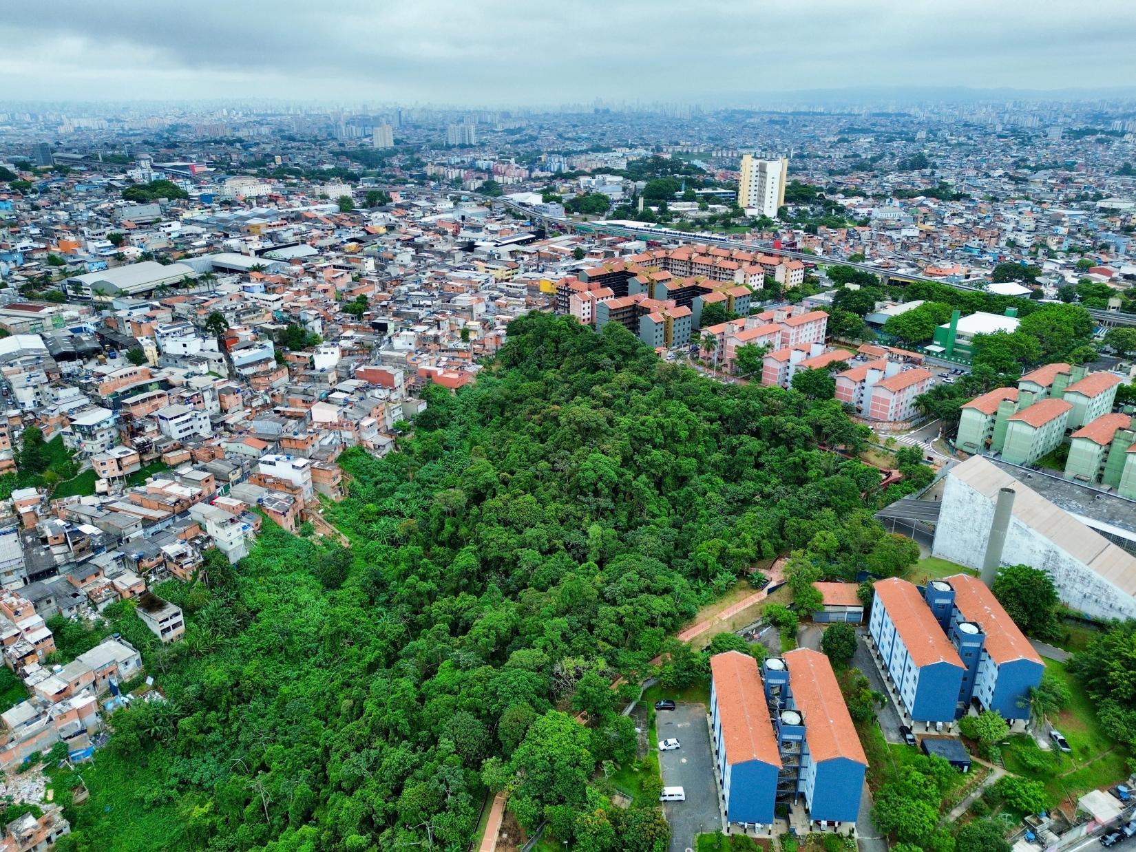 Imagem aérea de uma área urbana densa. No centro, há um grande fragmento de mata verde, com árvores altas e fechadas, formando uma espécie de ilha de vegetação. Ao redor dessa área verde, vê-se uma ocupação intensa de casas pequenas e próximas umas das outras, com telhados variados, predominando tons de cinza e terracota.  À direita da imagem, há conjuntos de prédios residenciais de poucos andares, organizados em blocos, com fachadas coloridas em tons de azul, verde e rosa, e telhados avermelhados. Ruas e pequenas áreas pavimentadas aparecem entre os edifícios.  Ao fundo, a cidade se estende até o horizonte, com muitos prédios e construções, sob um céu nublado e acinzentado. A cena evidencia o contraste entre a área de mata preservada e a urbanização ao redor.