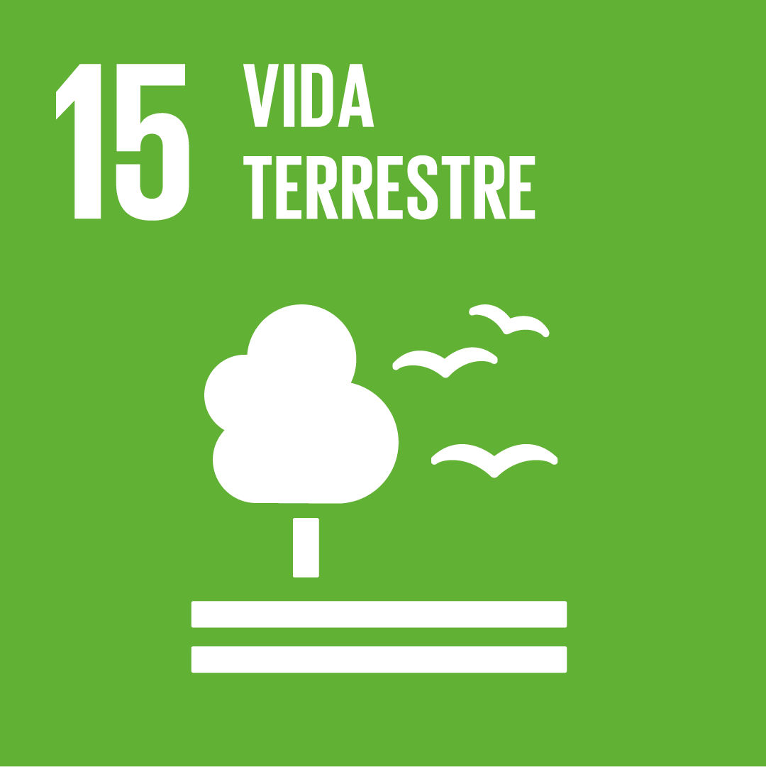 O segundo ícone é a ODS 15 "Vida Terrestre", representada por um ícone verde, com o desenho de uma árvore com duas linhas horizontais abaixo e dois pássaros voando ao lado