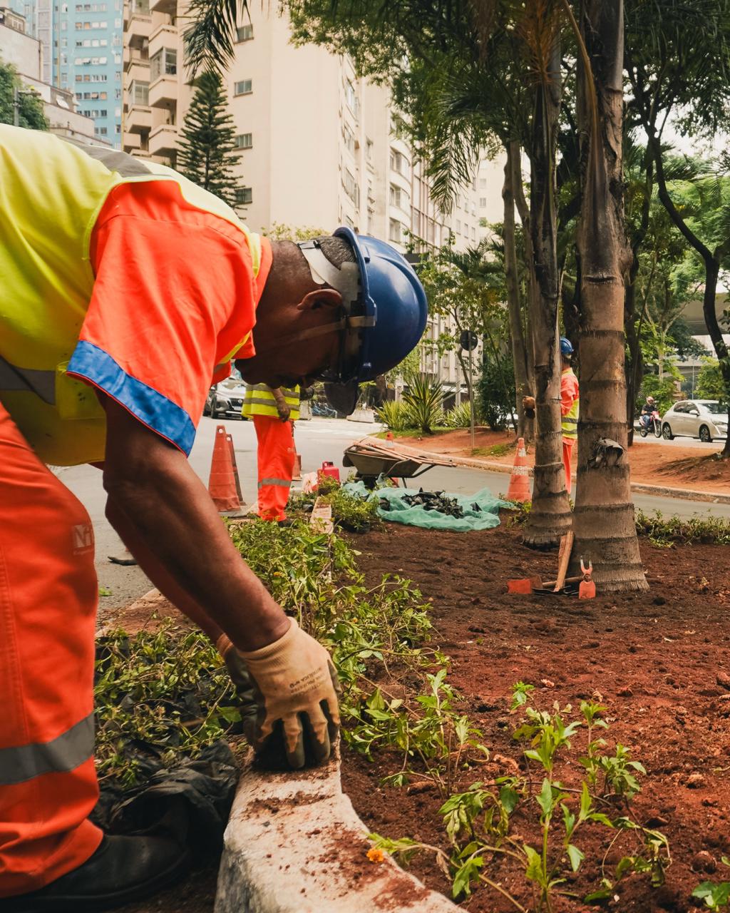 Um trabalhador da construção/jardinagem, vestindo equipamento de segurança laranja e amarelo, está ajoelhado e curvado em um canteiro de terra vermelha, mexendo na borda de concreto.  No fundo, há mais trabalhadores, cones de segurança, palmeiras e edifícios urbanos.