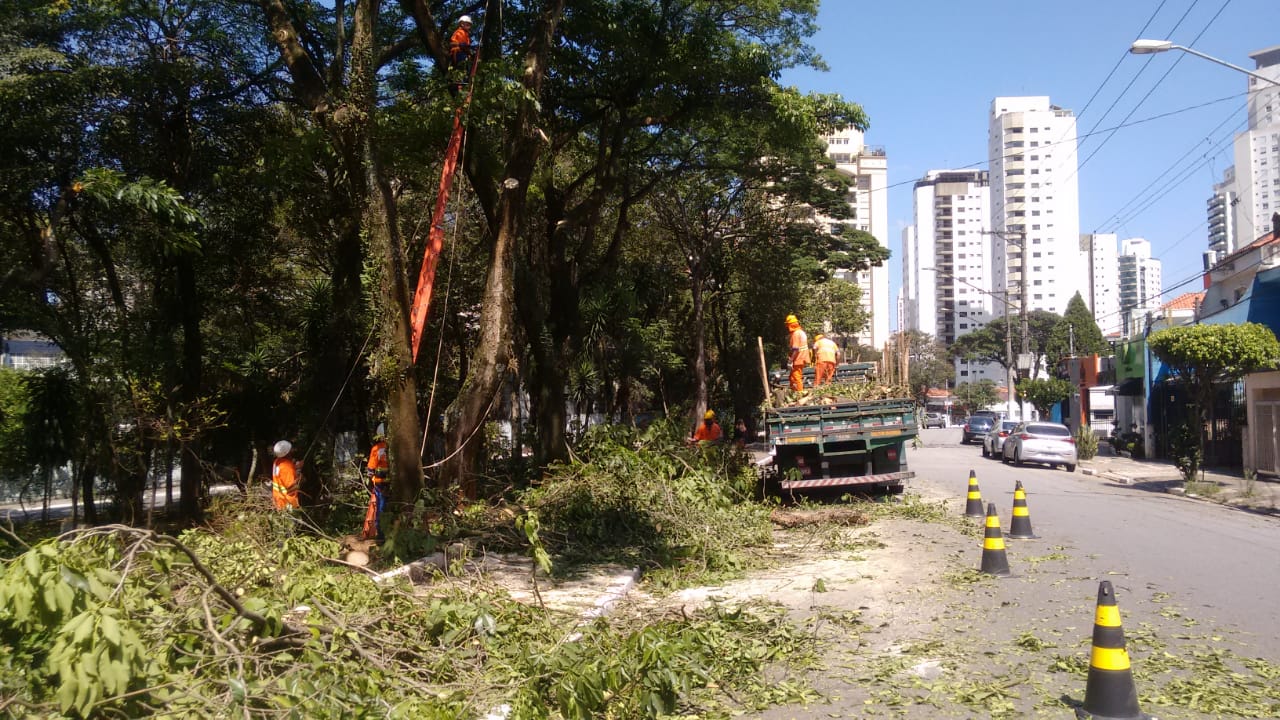 A imagem mostra uma equipe de manutenção urbana realizando a poda de árvores em uma rua arborizada durante um dia ensolarado. No lado esquerdo, trabalhadores vestindo uniformes e capacetes na cor laranja operam entre árvores de grande porte; um deles está posicionado no topo de uma longa escada laranja apoiada em um tronco. No centro da via, um caminhão verde está estacionado com a carroceria voltada para a calçada, onde dois funcionários organizam os galhos cortados. O chão, tanto na calçada quanto em parte do asfalto, está coberto por uma grande quantidade de folhagens e galhos secos. A área de trabalho é delimitada por cones de sinalização pretos e amarelos posicionados na rua. Ao fundo, observam-se prédios residenciais altos, outros veículos estacionados e um céu azul claro e sem nuvens.
